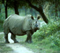 Kaziranga National Park